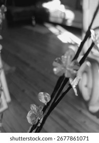 inside a room with some objects 