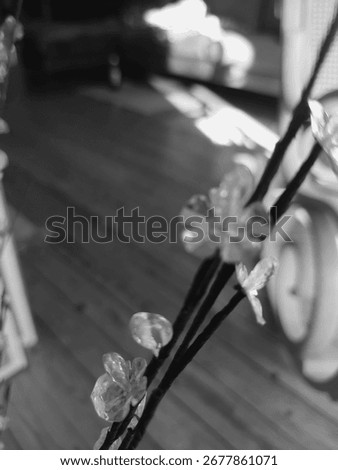 inside a room with some objects 