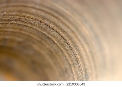 Inside the rustic pot head of traditional Japanese pottery, inspired from Tanegashima ware. Texture macro photograph.