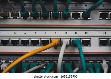 Inside Of A Server Room. Three Cables Of Different Color In Connectors. Equipment Service In Datacenter. A Bunch Of Wires.    