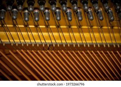 The inside strings and hammers of a piano.