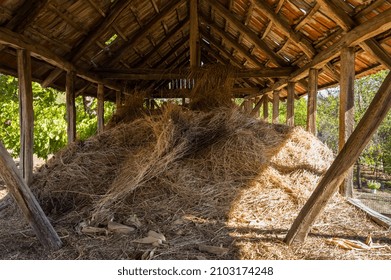 Inside a traditional stable full of hay. Hay stored in a wooden barn on a farm. Dry straw