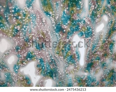 Inside Winshield View During Car Wash Soap, blue, green, yellow, pink