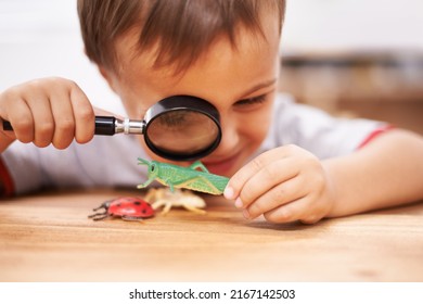 Inspecting some curious creatures. Shot of a young boy inspecting his toys with a magnifying glass.