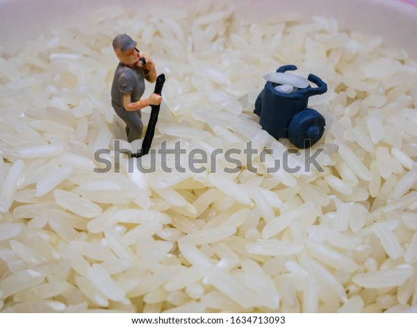 The inspection
workers choose the rice
well.