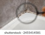 Inspector using a magnifying glass while inspecting poor-quality sealant in a bathroom covered in black mold, close-up. Mold in bathroom, problem of excessive dampness and humidity, health hazard.