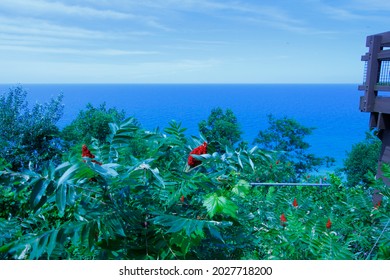 Inspiration Point, Arcadia Dunes, Michigan