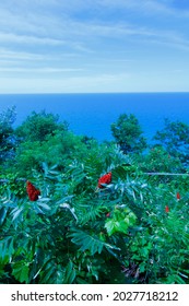 Inspiration Point, Arcadia Dunes, Michigan