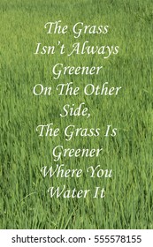 The Grass Is Always Greener On The Other Side Images Stock Photos