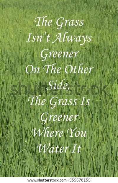 Inspirational Message Grass Isnt Always Greener Stock Photo Edit