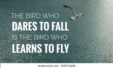 Inspirational Motivation Quotes Bird Who Dares Stock Photo 1599751840 