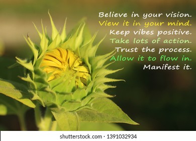 Inspirational motivational quote with nature- Believe in your vision, keep vibes positive, take lots of action, trust the process, allow it to flow, manifest it. With young green sunflower blooming. - Shutterstock ID 1391032934