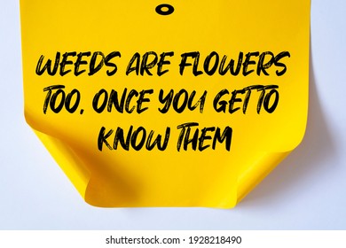 Inspirational Motivational Quote. Weeds Are Flowers Too, Once You Get To Know Them.