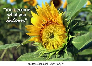 Inspirational Motivational Quote You Become What Stock Photo 2061267074 ...