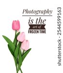 Inspirational and motivational quotes concept with flower background. Photography is the art of frozen time 