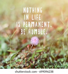 Inspirational Motivational Quotes Nothing Life Permanent Stock Photo ...