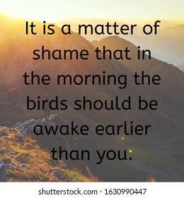 Inspirational motivational quotes on abstract background. It is a matter of shame that in the morning the birds should be awake earlier than you.