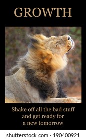 Inspirational Poster: GROWTH - Male Lion Shaking Water Off Mane
