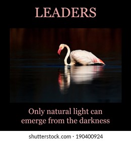 Inspirational Poster: LEADERS - Low Key Flamingo Standing In Water With Reflection