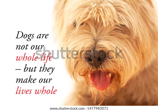 inspirational police k9 quotes