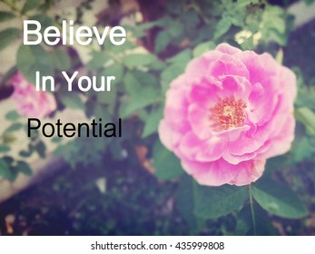 Inspirational Quote Believe Your Potential Quote Stock Photo 435999808 ...