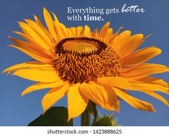 Inspirational Quote Everything Gets Better Time Stock Photo 1423888625 ...