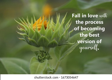 Inspirational quote - Fall in love with the process of becoming the best version of yourself. With young green sunflower plant background. Motivational words with nature flower in process to bloom. - Shutterstock ID 1673054647