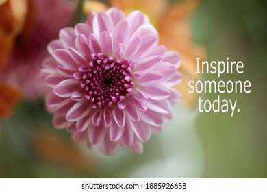 98,298 Quote flowers Images, Stock Photos & Vectors | Shutterstock