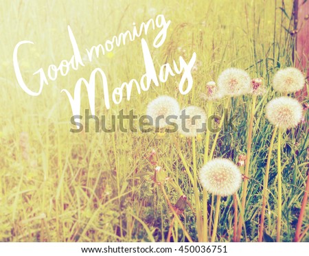 Inspirational quote on blurred flowers background with vintage filter