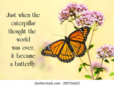 Inspirational quote on life by an unknown author with a pretty monarch butterfly perched at a flower.
