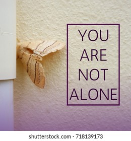 Inspirational quote, You are not alone quote on background 
