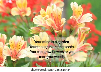 3,384 Seed Mind Images, Stock Photos & Vectors 