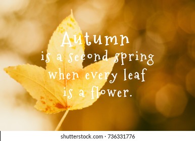 40,247 Autumn quotes Images, Stock Photos & Vectors | Shutterstock