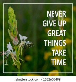 Inspirational Quotes - never give up great things take time