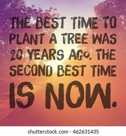 Inspirational Typographic Quote - The best time to plant a tree was 20 years ago, the second best time is now.
