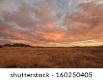 Inspirational uplifting Autumn orange blue cloudy sky background over arid grassland prairie in beautiful nature scenic