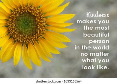 Inspirational Words - Kindness Makes You The Most Beautiful Person In The World No Matter What You Look Like. Be Kind Motivational Quote Concept With Half Sunflower Background.