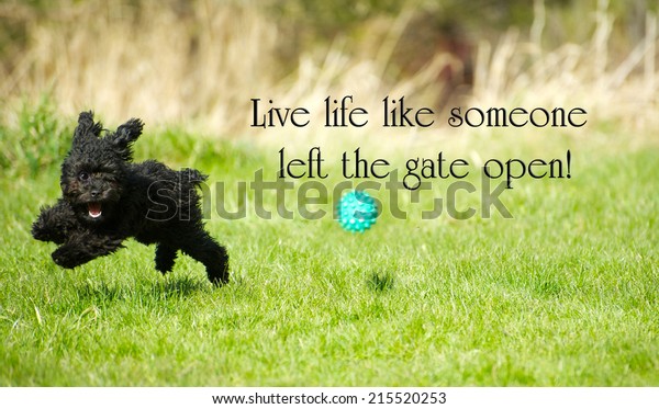 Inspirational Words Live Life Like Someone Stock Photo Edit