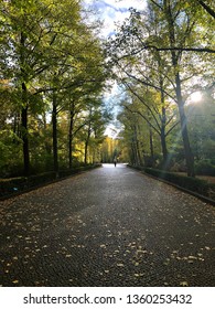 Inspired Walking Forward Into Path Through Trees And Light Bean