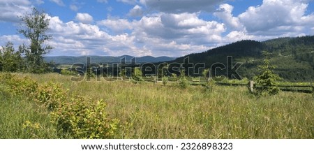 Inspiring landscape of the Carpathian Mountains featuring a forest, a winding road, vibrant blue skies, and fluffy clouds. This captivating image captures the tranquility and beauty of nature, perfect
