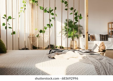 Inspiring rope and ivy decorative room divider next to elegant bed in original apartment - Shutterstock ID 683692996