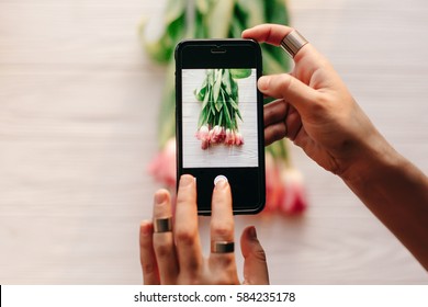 Instagram Photographer Blogging Workshop Concept. Hand Holding Phone And Taking Photo Of Stylish Flowers. Pink Tulips On White Wooden Rustic Background.space For Text. Hello Spring