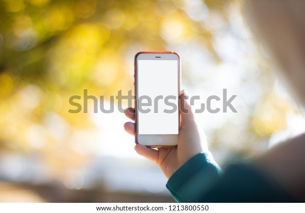 Instagram photography blogging concept.\
hand holding phone taking photo of autumn\
landscape