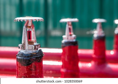 Install Fire Sprinkler System. In The Industrial Plant, Pipe Assembly, Red Fire Pipe, Fire Protection Contractors.