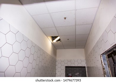 Ceiling Tiles In The Office Images Stock Photos Vectors