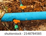 Installation of drip irrigation system used in agriculture. It is the use of technology to reduce costs and increase productivity.