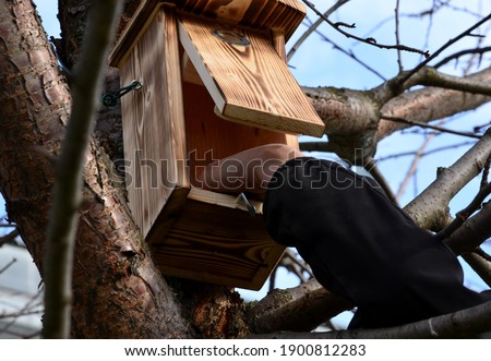 installation and inspection of birdhouses on trees for spring nesting. A man in an overall fitter takes an ornithologist up a ladder and attaches a nesting box for titmouse.