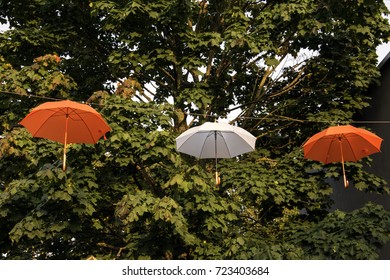 Installation with  umbrellas.