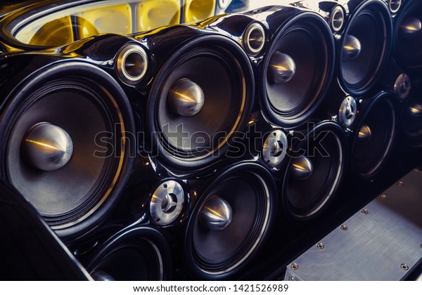 Installed powerful\
audio speakers rear\
car.