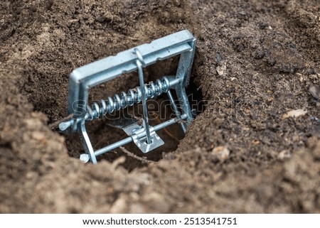 Installing a mole trap in a garden plot in a mole hole